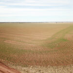 240± Acres, Minerals & Grass