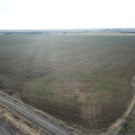 240± Acres, Minerals & Grass