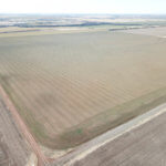 240± Acres, Minerals & Grass