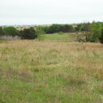 160± Acres