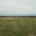 160± Acres