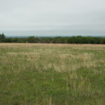 160± Acres