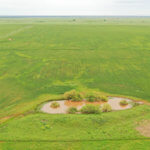 480± Acres