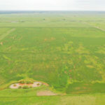 480± Acres