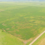 480± Acres