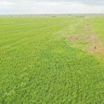 480± Acres
