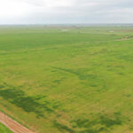 480± Acres