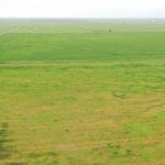 480± Acres