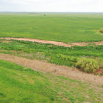 480± Acres