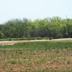 480± Acres