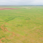 480± Acres