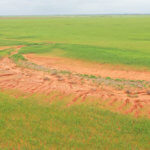 480± Acres