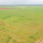 480± Acres