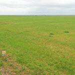 480± Acres