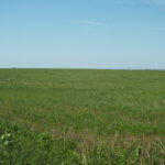 480± Acres