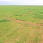 480± Acres