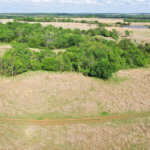 299± Acres