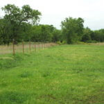 299± Acres