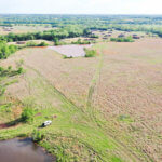 299± Acres