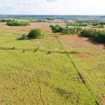 299± Acres