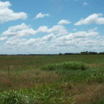 CRP Land, Cropland, Nash OK