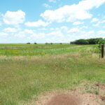 CRP Land, Cropland, Nash OK