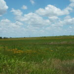 CRP Land, Cropland, Nash OK