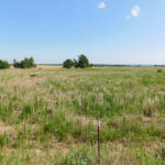 80 Acres Development