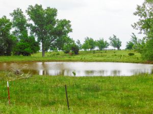 6/28 129± ACRES * OFFERED IN 4 TRACTS * PONDS * GRASS PASTURE * RURAL WATER * OLD WORLD BLUE STEM * TIMBER * BUILDING TRACTS ENID OK