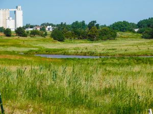 9/22 160± ACRES * BISON, OKLAHOMA AREA * GRASS PASTURE * CROP LAND * POND * GOOD CATTLE FARM * BUILDING LOCATION * CENTENNIAL FARM