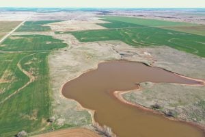 4/24 160± ACRES MOL * CULTIVATION * GRASS * POND * EASY ACCESS * GRAVEL