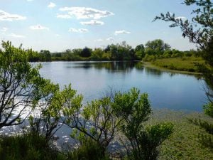 6/20 160± ACRES * PAWNEE COUNTY OKLAHOMA