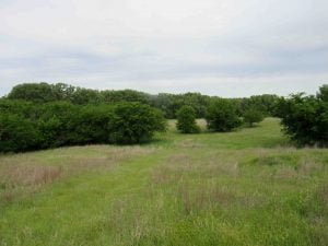 45+/- ACRES  DRUMMOND OKLAHOMA