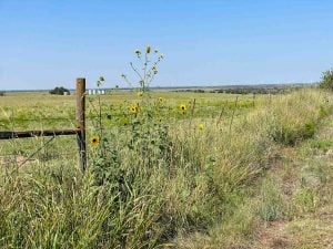 10/23 320± ACRES * NOBLE COUNTY, OKLAHOMA * GARBER/BILLINGS AREA