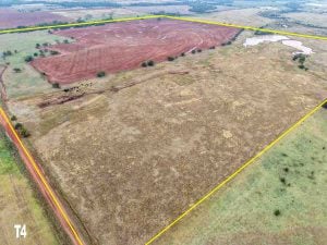 Tract 4 – 160± Acres DEVELOPMENTAL PROPERTY * GRASS PASTURE * LARGE POND * TIMBER * HUNTING * HAY MEADOWS