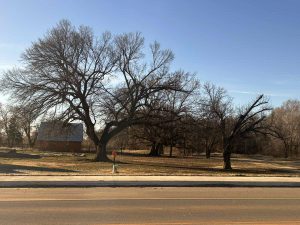4 VACANT LOTS (0.32 Acres) CARMEN, OK