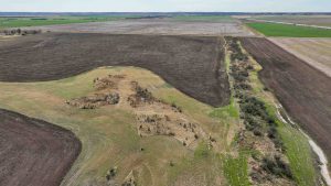 5/8 320± ACRES OFFERED IN TWO TRACTS * BLAINE COUNTY, OKLHOMA * OKEENE AREA