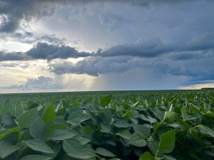 9/22 720± ACRES * SUMNER COUNTY, KANSAS